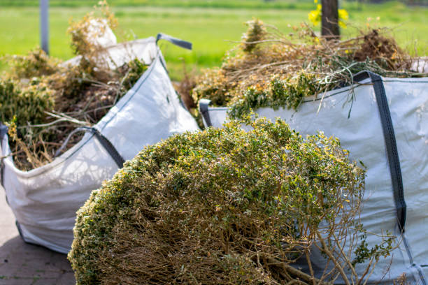 Best Yard Waste Removal  in Conneaut, OH